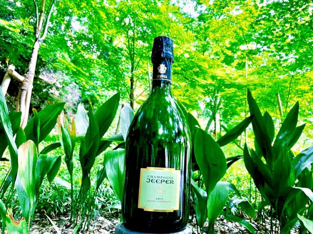 シャンパーニュ・ジーパー | Champagne Jeeper | フランス産シャンパン 